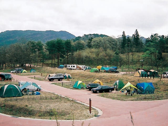 3010169_00000.jpg