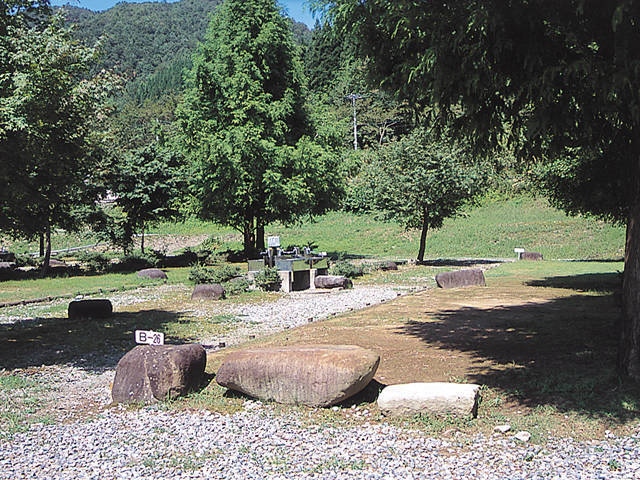 18000188_1827_1.jpg