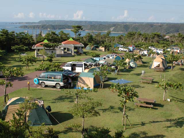47010410_3696_1.jpg